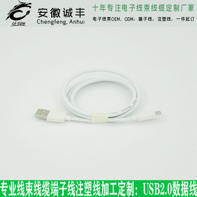 安徽誠豐線束，USB數據線2.0，專業線束定制廠家