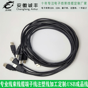 USB成品線，安徽誠豐線束廠，專業定制加工各類線束，亳州電子廠